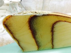 �|���G�X�e�� �I���t�B�� 3_2